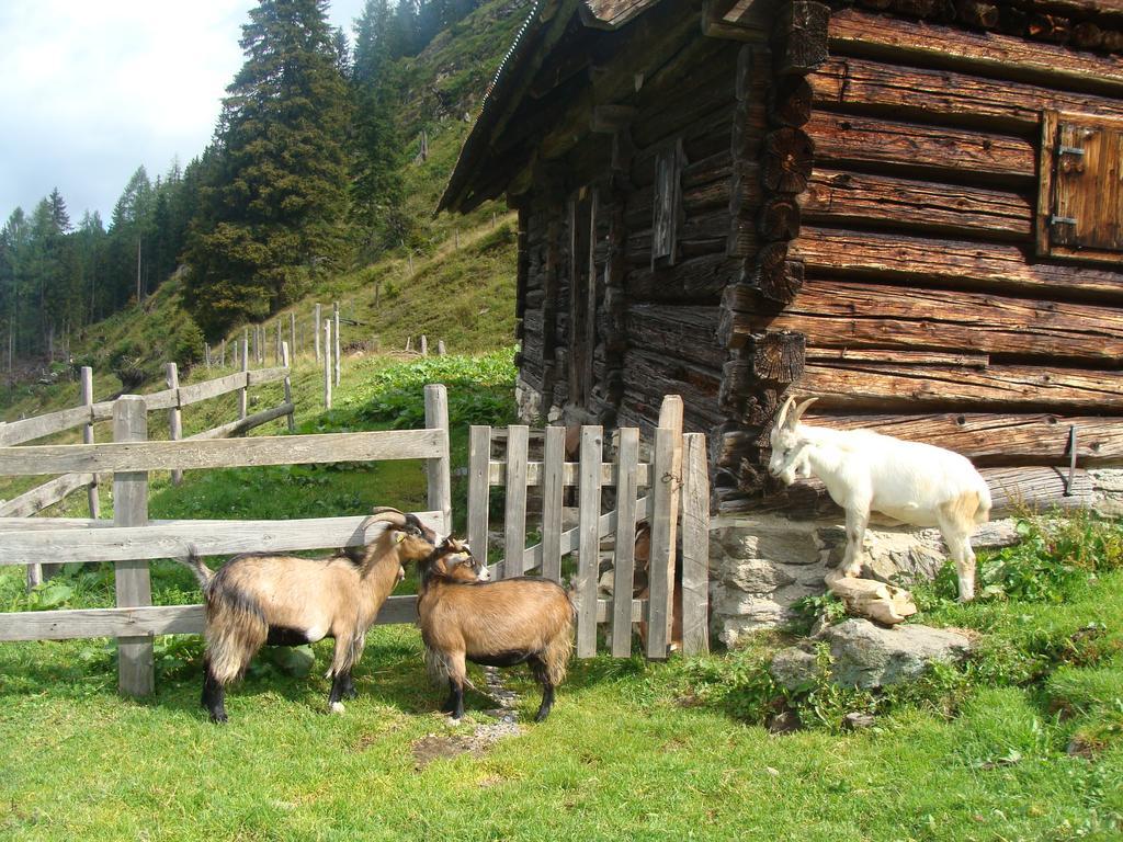 Landhotel Haeuserl Im Wald Grobming Εξωτερικό φωτογραφία