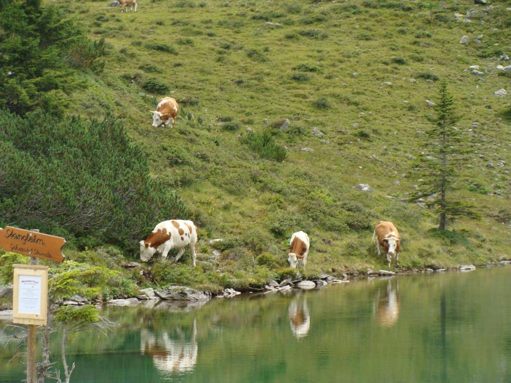 Landhotel Haeuserl Im Wald Grobming Εξωτερικό φωτογραφία