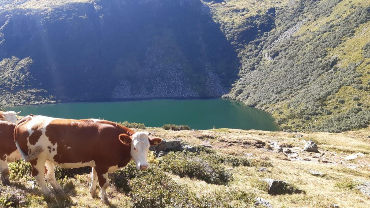 Landhotel Haeuserl Im Wald Grobming Εξωτερικό φωτογραφία