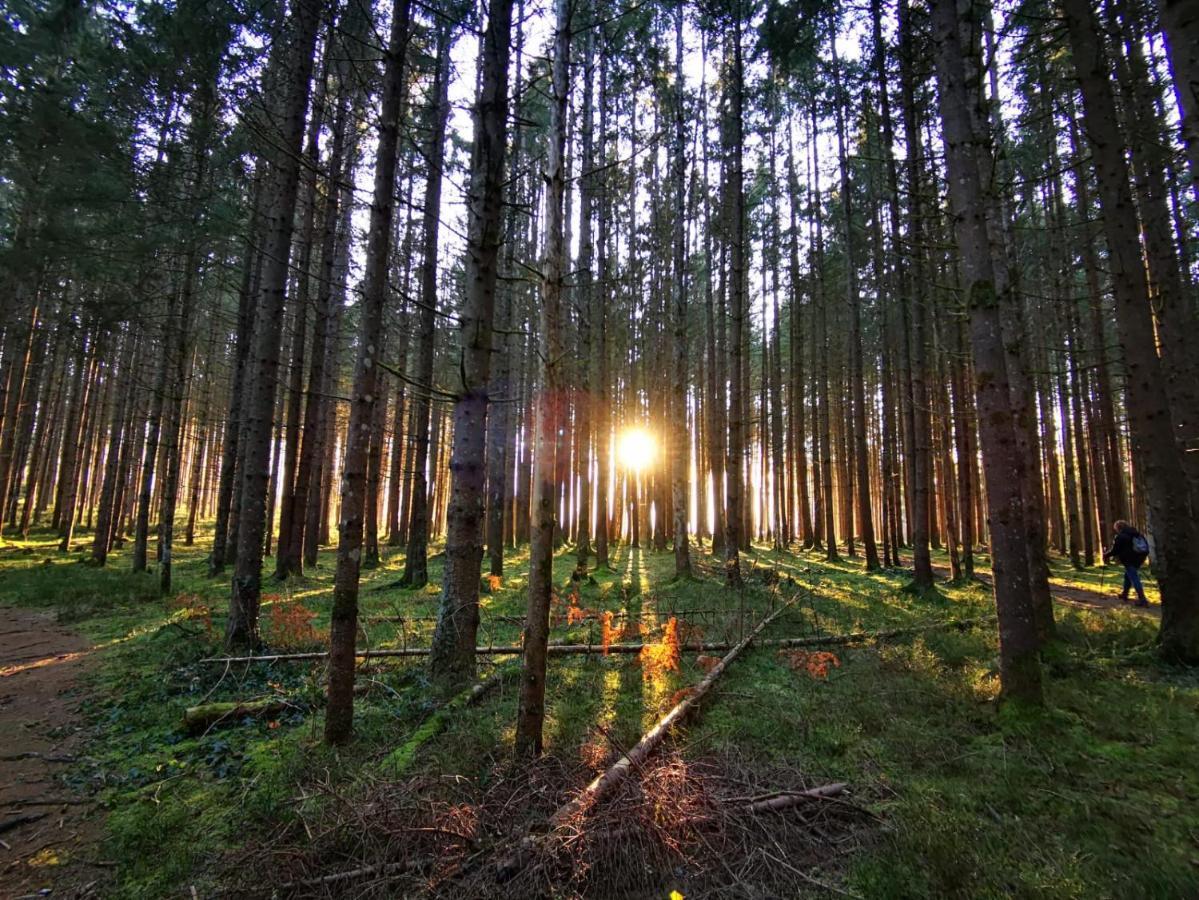 Landhotel Haeuserl Im Wald Grobming Εξωτερικό φωτογραφία